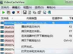 Win8.1清理网页视频缓存的方法