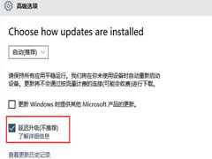 在Win10系统中设置延迟升级的操作方法