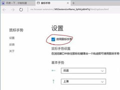 Win10开启或关闭Edge浏览器鼠标手势功能的方法