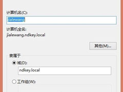 Win8.1系统加入域的操作技巧