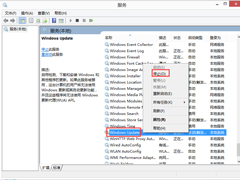 Win8安装.net3.5失败报错0x800f0907的应对措施