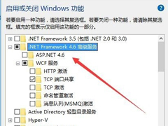 Win10查看.Net FrameWork版本号的操作方法