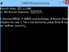 ie浏览器怎么卸载？Win8下ie11浏览器无法卸载怎么办？