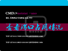 Windows怎么查看端口占用？查看本机端口占用情况