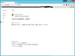 Win8更新谷歌浏览器报错“0x00000000”怎么办？