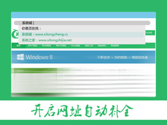 Win8.1系统怎么开启IE网址自动补全功能？