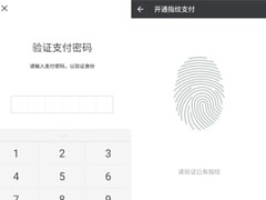 小米8微信指纹支付怎么设置？微信指纹支付设置方法