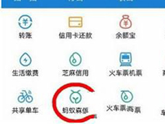 支付宝蚂蚁森林怎么查看实景地图？