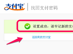 支付宝支付密码忘了怎么办？支付宝支付密码忘了解决方法