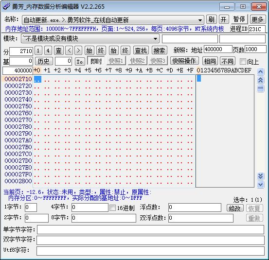 勇芳内存数据分析编辑器 V2.2.265 绿色版