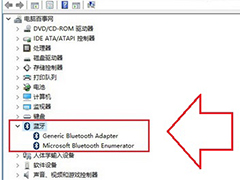 笔记本Win10设备管理器没有蓝牙？Win10搜索不到蓝牙怎么办？