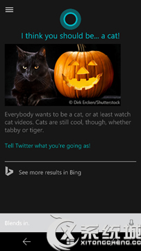 Cortana及Bing新增万圣节主题功能