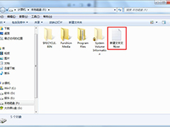 autorun.inf是什么文件？Win7系统下如何删除autorun.inf