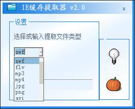 IE缓存提取器 V2.0 绿色版