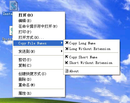 Copy File Names(右键复制扩展) V2.0.1