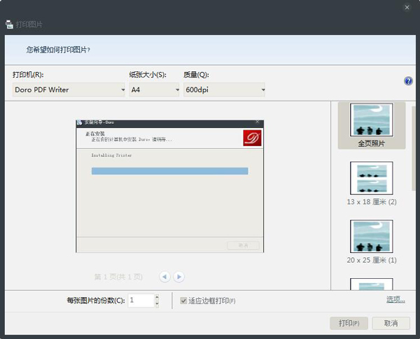 Doro PDF Writer(虚拟打印机) V2.0.6.1