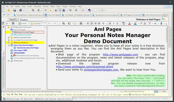 Aml Pages(多标签文字处理) V9.5.3.2457