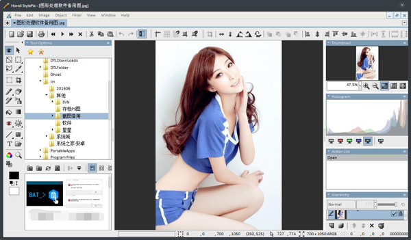 Hornil StylePix(图像处理) V1.14.5.0