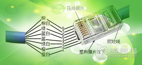 网线水晶头接头怎么接？网线水晶头接法口诀