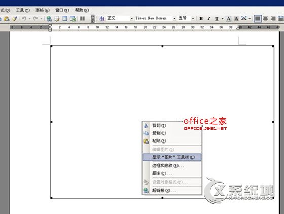 word图片显示空白