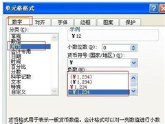 Excel表格单元格设置为货币格式的方法