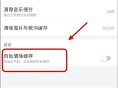 网易云音乐App自动清理缓存的方法