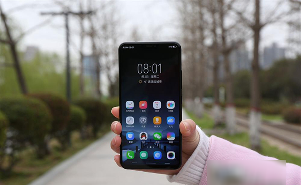 vivo X21