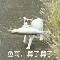 算了不生气