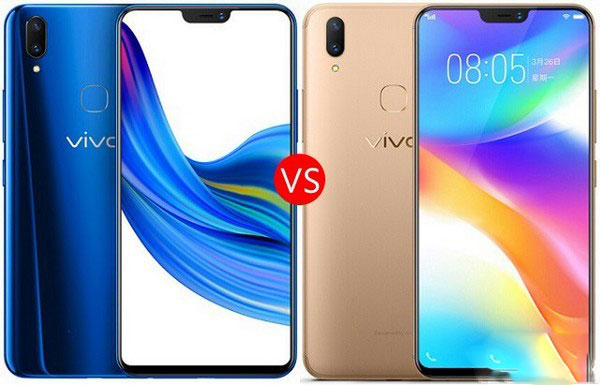 vivo