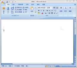 Microsoft Office2007