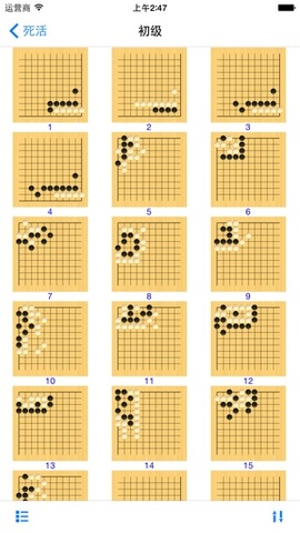 围棋大师