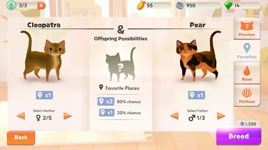 我的猫舍安卓版 V1.20