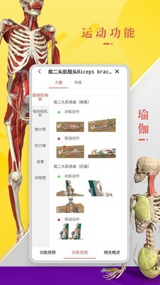 3DBody解剖iPhone版 V8.3.7