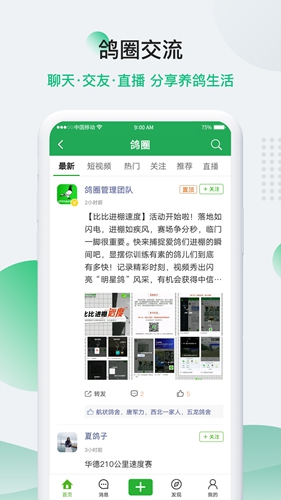 中国信鸽信息网安卓版 V3.1