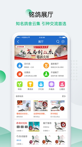 中国信鸽信息网安卓版 V3.1