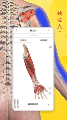 3DBody解剖iPhone版 V8.3.7