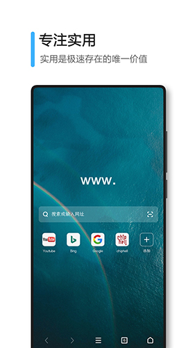 极速浏览器安卓版 V1.0.100.1