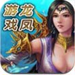 游龙戏凤安卓破解版 V4.1