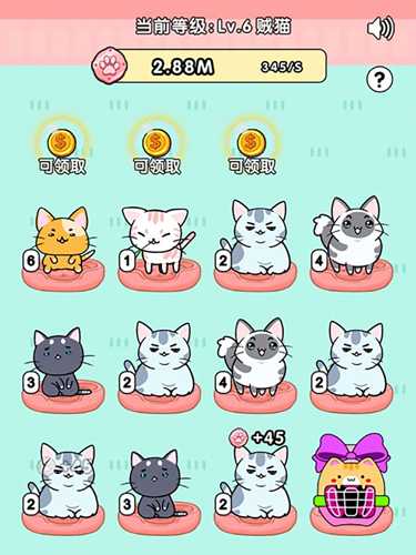 我的小猫安卓版 V1.0.5