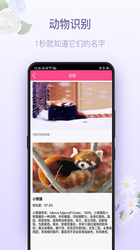 拍照识花神器安卓版 V5.1.2