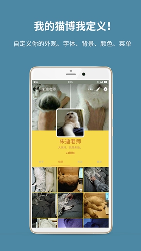 猫博安卓版 V2.1