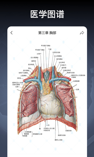 创序医考安卓版 V3.0.1