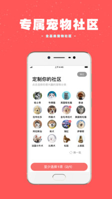 宠物王国安卓经典版 V3.2.0