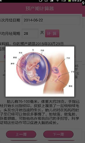 预产期计算器安卓版 V1.0