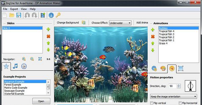 DP Animation Maker V3.4.22 中文安装版