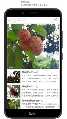 拍照识花安卓破解版 V3.1