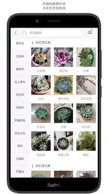 拍照识花安卓破解版 V3.1