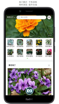 拍照识花安卓破解版 V3.1