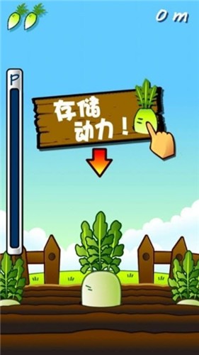 大根萝卜火箭安卓版 V1.0.0