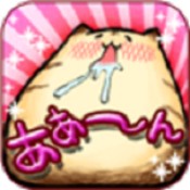 虎猫烧烤安卓版 V1.0